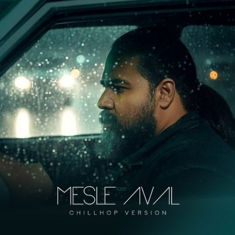 رضا صادقی مثل اول ( چیل هاپ ورژن )